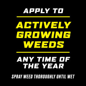 Ortho GroundClear Poison Ivy & Tough Brush Killer2 root kill through systemic action.