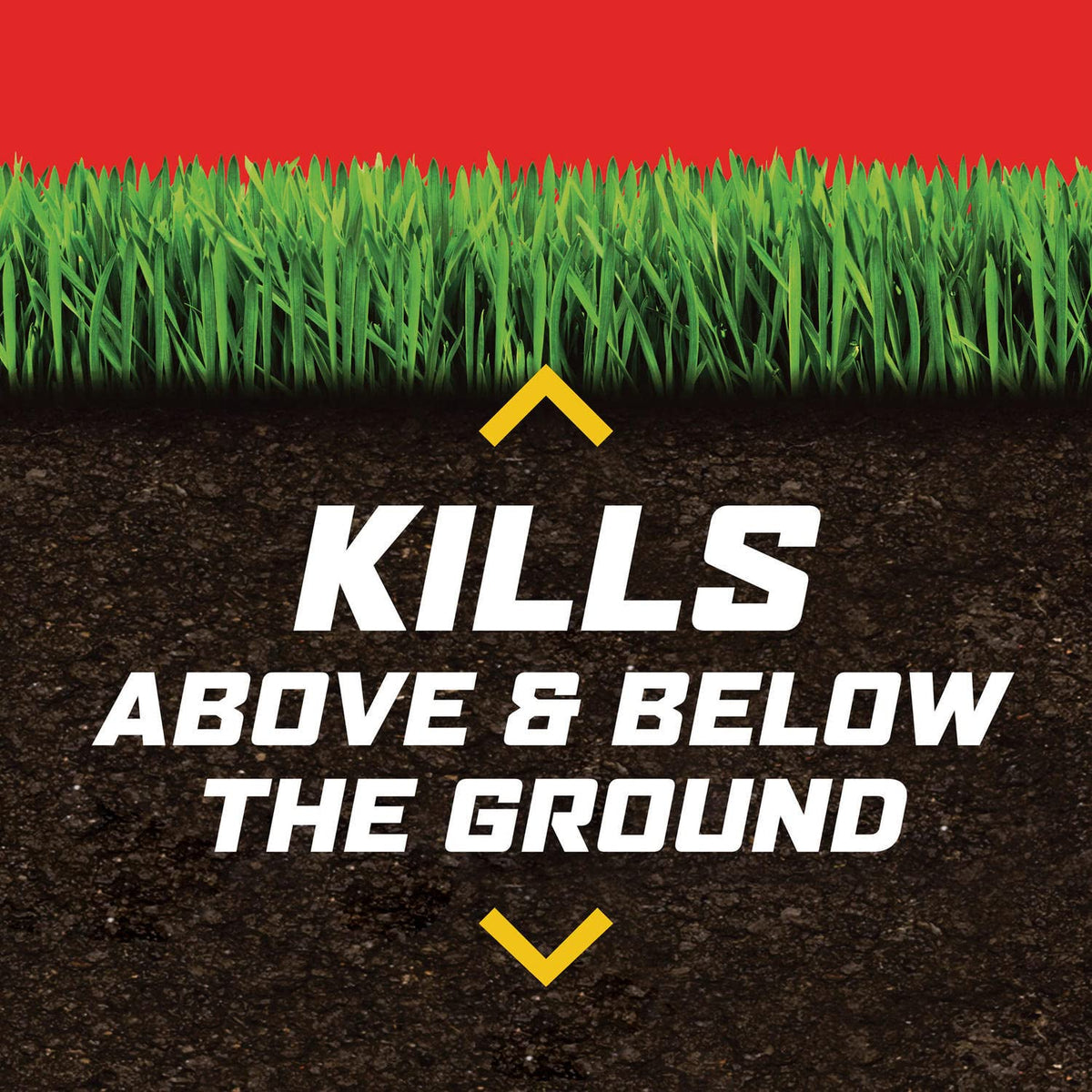 Ortho outdoor control targets ants, spiders, and ticks for yard-level relief.