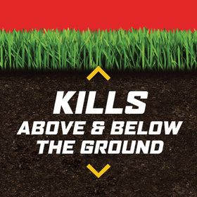 Ortho outdoor control targets ants, spiders, and ticks for yard-level relief.