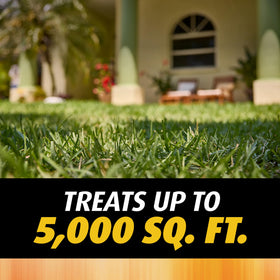 Ortho Orthene granules cover up to 5,000 sq ft of lawn.