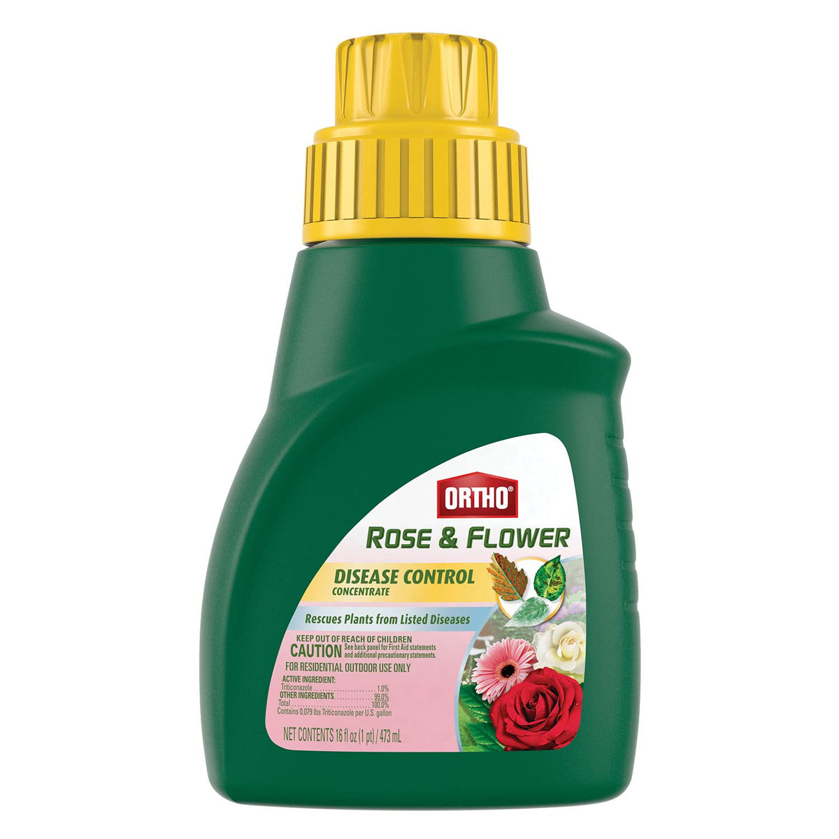 Ortho Rose & Flower Disease Control Concentrate bottle protecting outdoor roses from fungal diseases