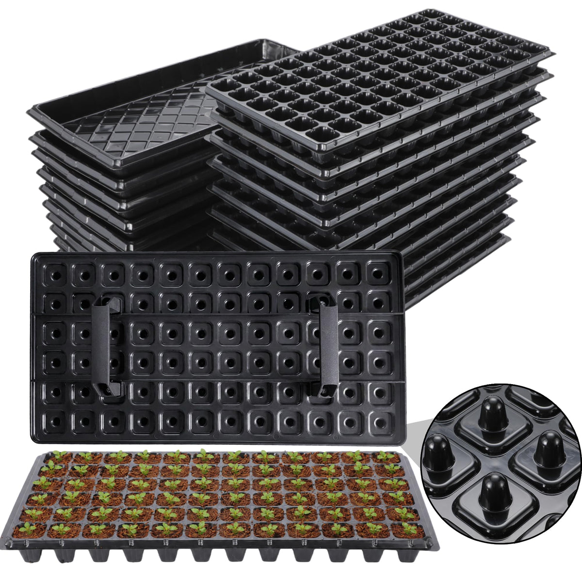 Oscorna 72-cell seedling trays with dibber for fast, precise sowing.