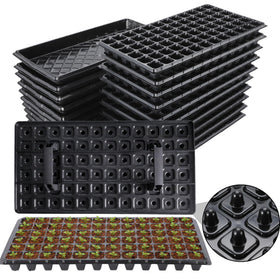 Oscorna 72-cell seedling trays with dibber for fast, precise sowing.