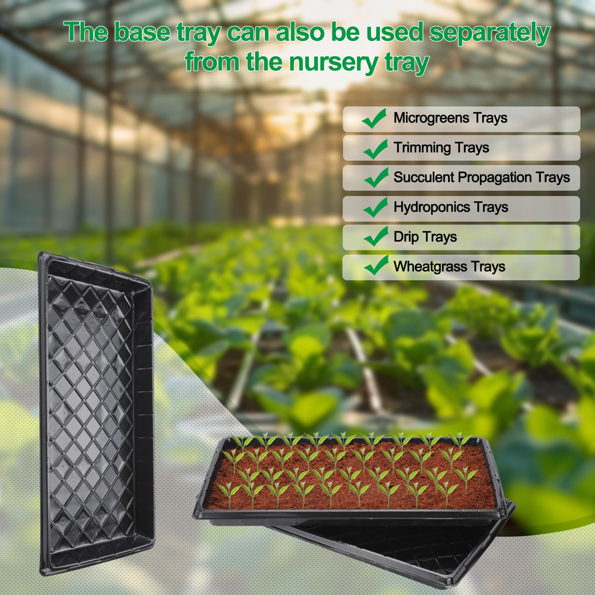 Oscorna seed labels help you track varieties with clarity.