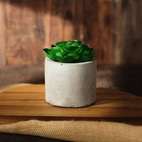 Osilifen guide highlights curing tips for stronger pots.