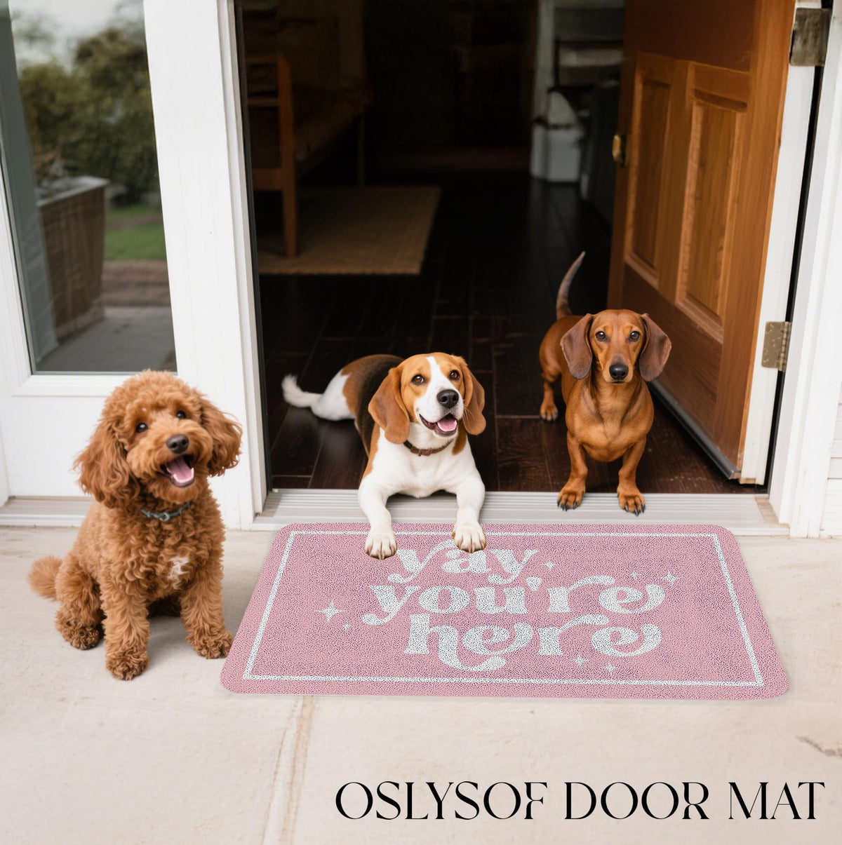 OSLYSOF funny pink door mat gift-ready packaging makes a thoughtful housewarming present.