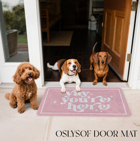 OSLYSOF funny pink door mat gift-ready packaging makes a thoughtful housewarming present.