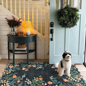 Othilic versatile rug for entryways, living rooms, kitchens, and patios.