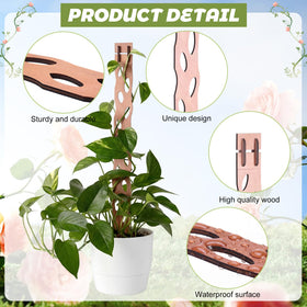 Otoolling cedar wood trellis with natural finish