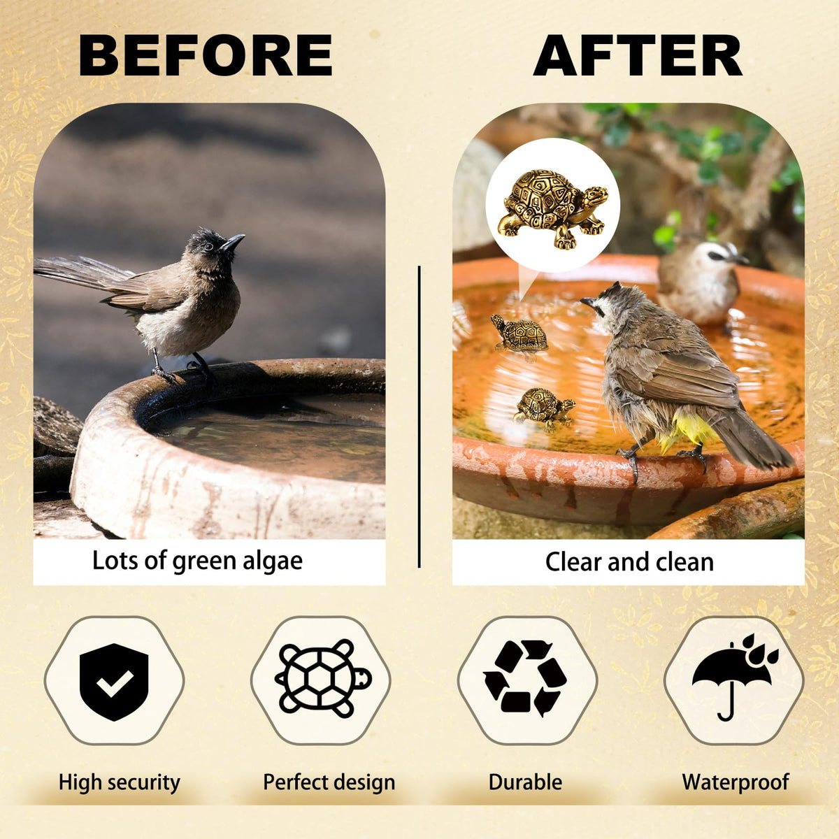 Otoolling copper bath disk water-purification demonstrates chemical-free water care for visiting birds