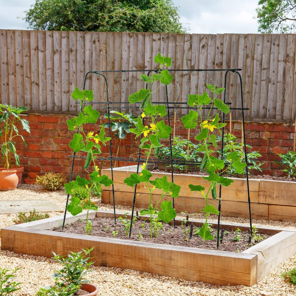 OTOSUNNY garden trellis tomato support keeps vines tidy.