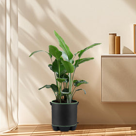 OTraki compatible with 5-gallon fabric pots for easy upgrades.
