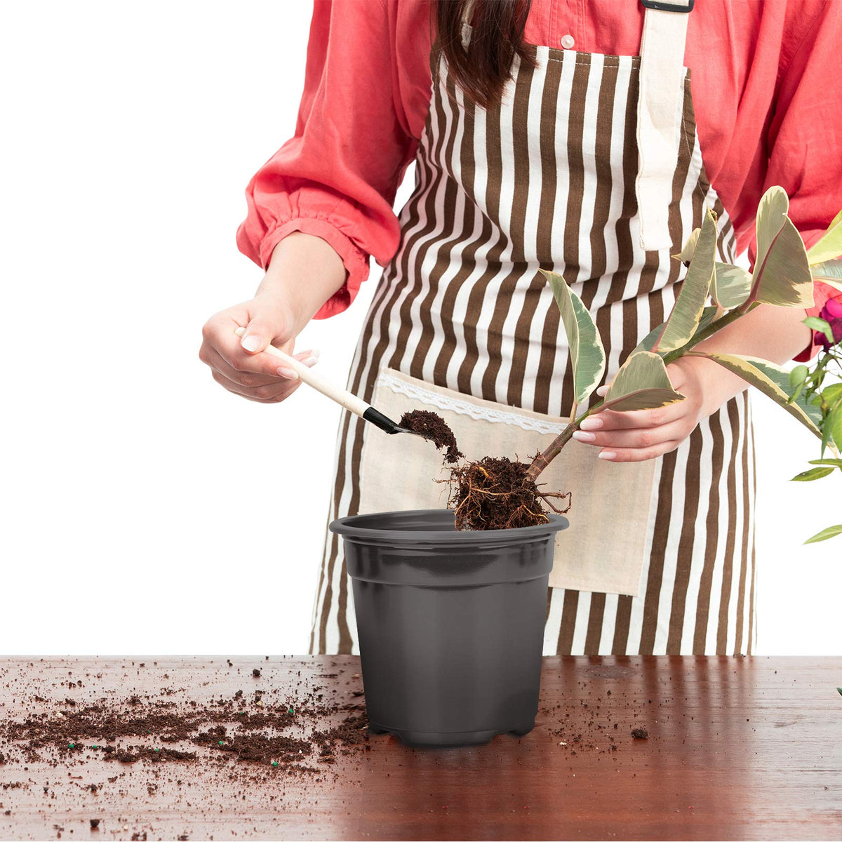 Oubest pot shows drainage holes for aeration and drainage.