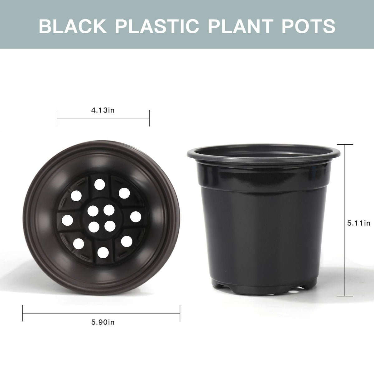 Oubest 6-inch pot holds robust seedlings ready for transplant.