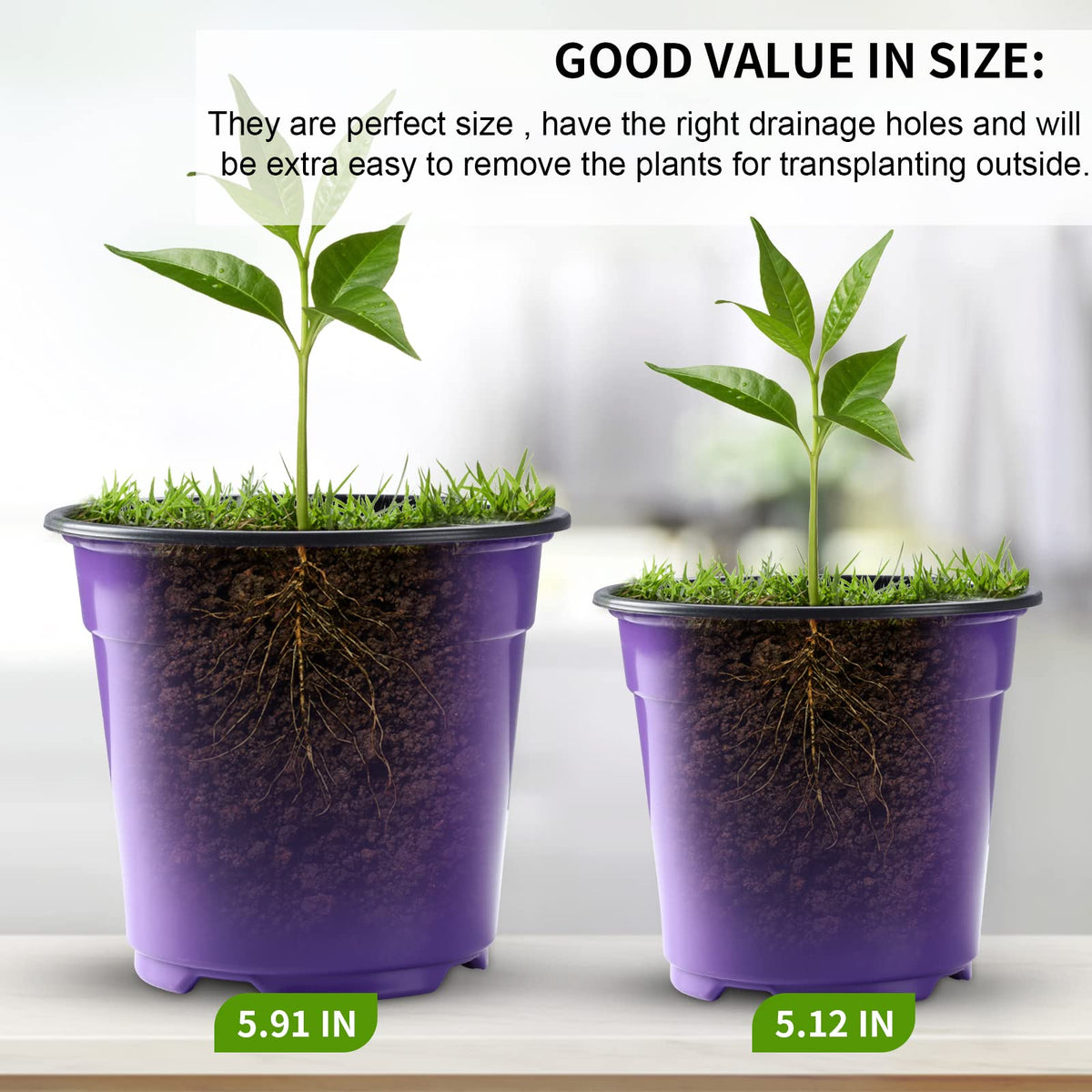 Oubest 6-inch seedling pots are durable and reusable.