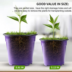 Oubest 6-inch seedling pots are durable and reusable.