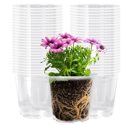 Oubest clear orchid pot 5 inch with transparent walls for easy root observation.