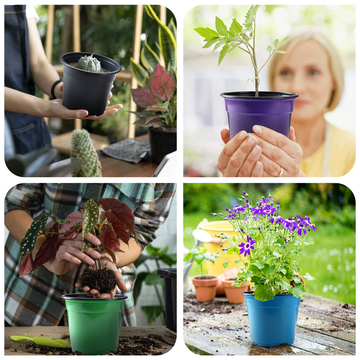 Oubest easy-transplanting pots pop out seedlings without root harm.