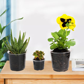 Oubest indoor outdoor gardening pot suitable for windowsill setups and patio use.