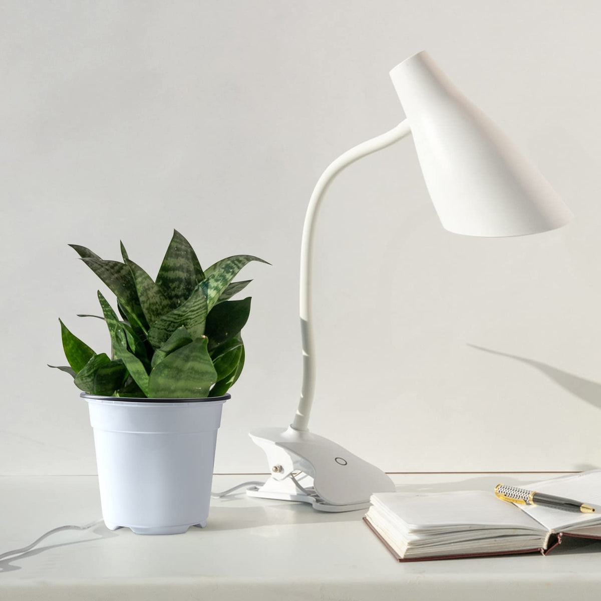 Oubest multicolor design brightens any nursery, terrace, or garden.