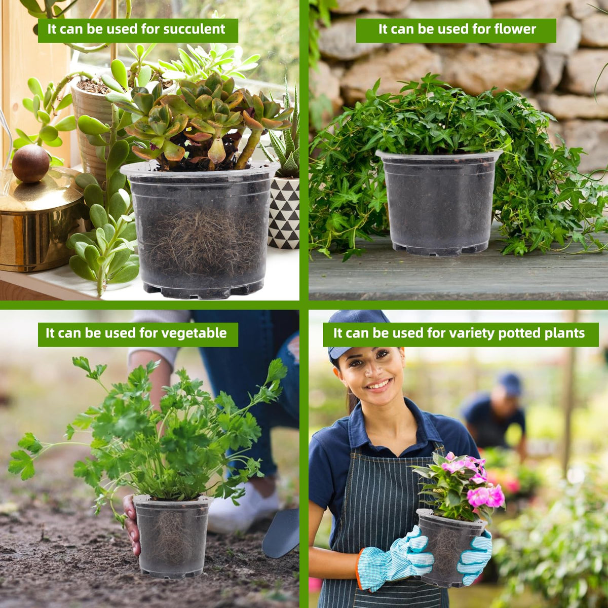 Oubest pack of 50 clear pots is ideal for starting multiple plants.
