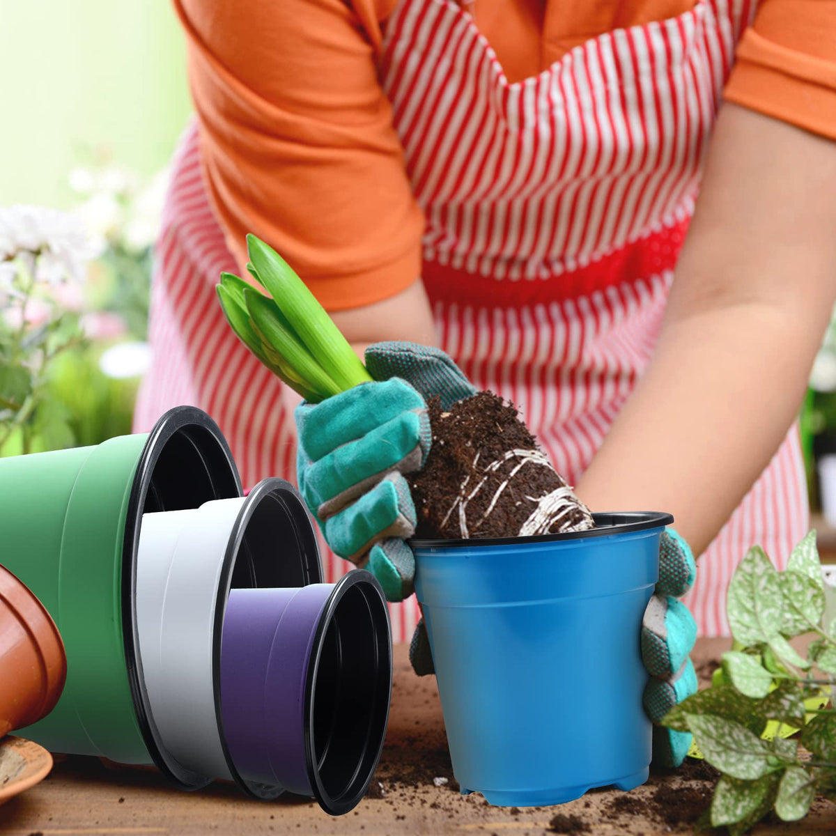Oubest seed-starting kit suits flowers, vegetables, and succulents.