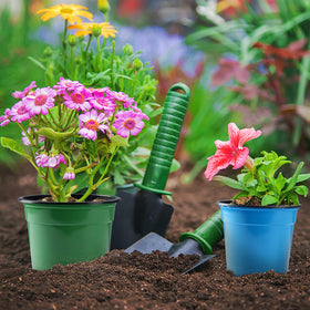 Oubest thickened plastic pots resist damage during handling.