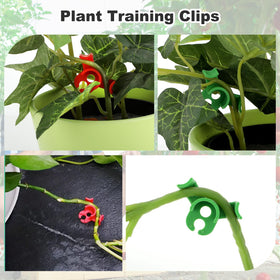 Ouligay 90-degree circle clips guide stem direction for neat training