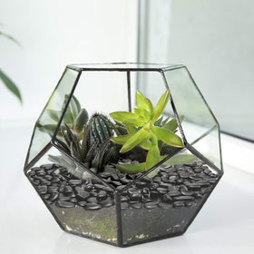 OUPENG black stones enhance terrariums and display bowls with texture