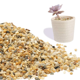 OUPENG Coarse Sand Stone terrarium filler creates a natural miniature landscape.