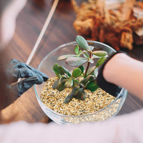 OUPENG Coarse Sand Stone vase filler accents arrangements with durable decorative stones.
