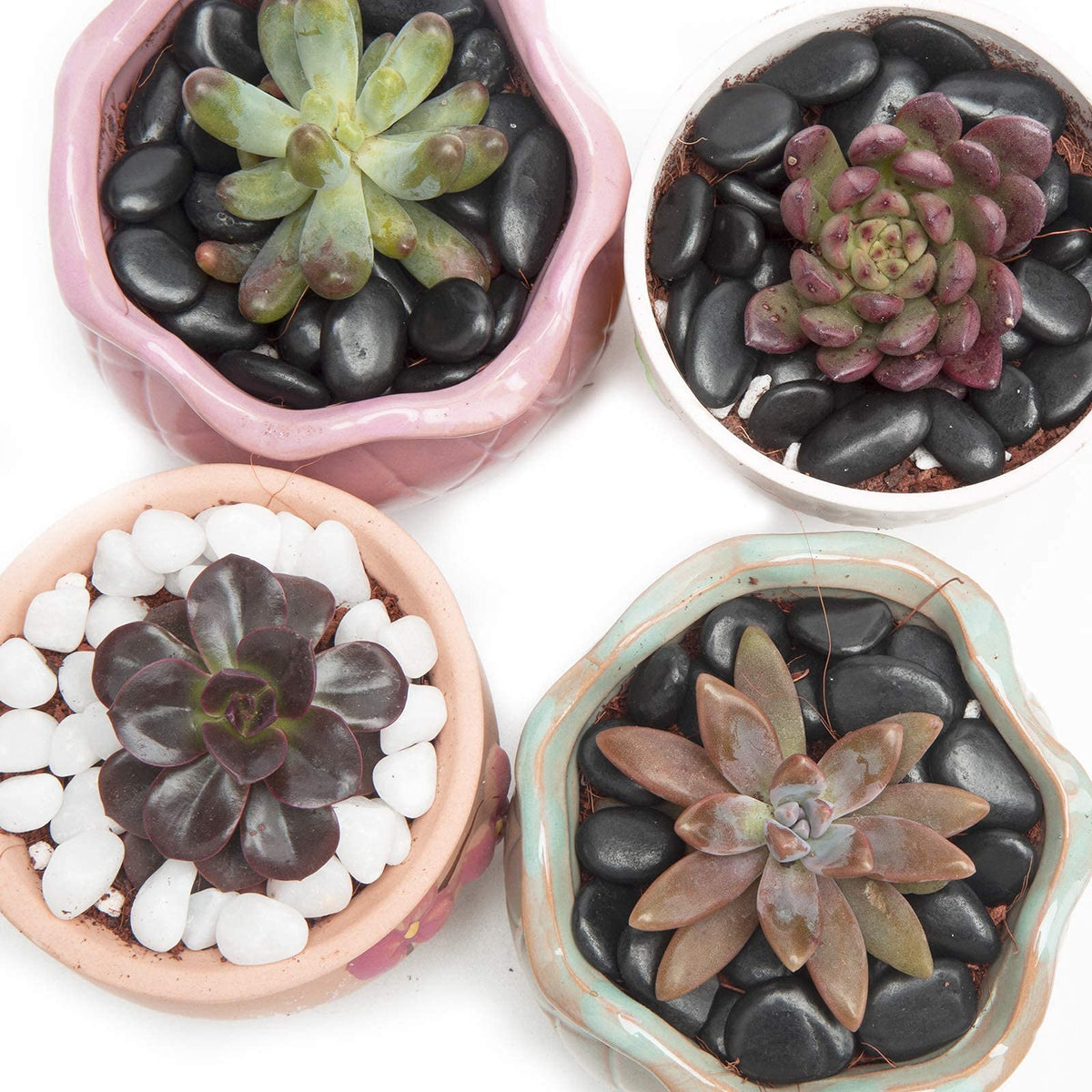 OUPENG decorative pebbles provide durable garden bed mulch and moisture retention
