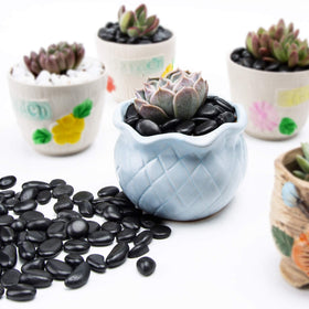 OUPENG river rocks highlight pathways and potted plants with natural shine