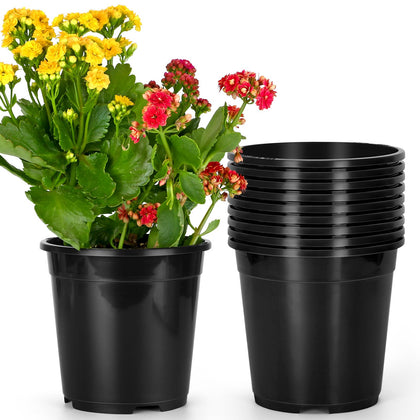OUPSAUI 2-gallon pot set top view, ideal for starting seedlings.