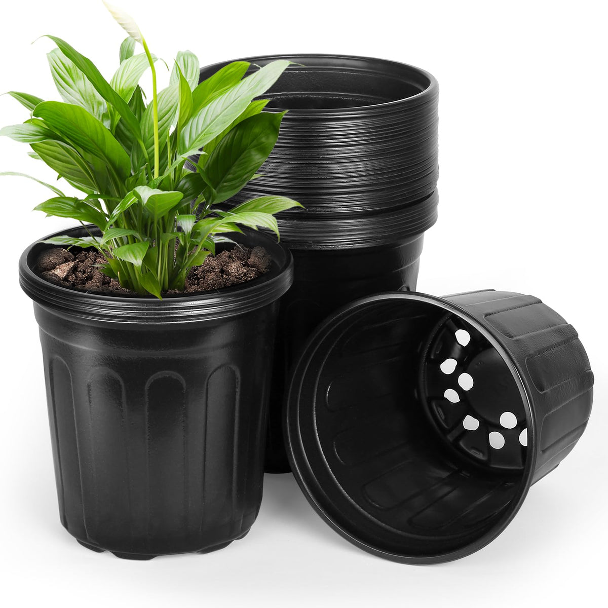 OUPSAUI 2-gallon pot in a 36-pack, ideal for propagating multiple seedlings.