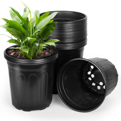 OUPSAUI 2-gallon pot in a 36-pack, ideal for propagating multiple seedlings.
