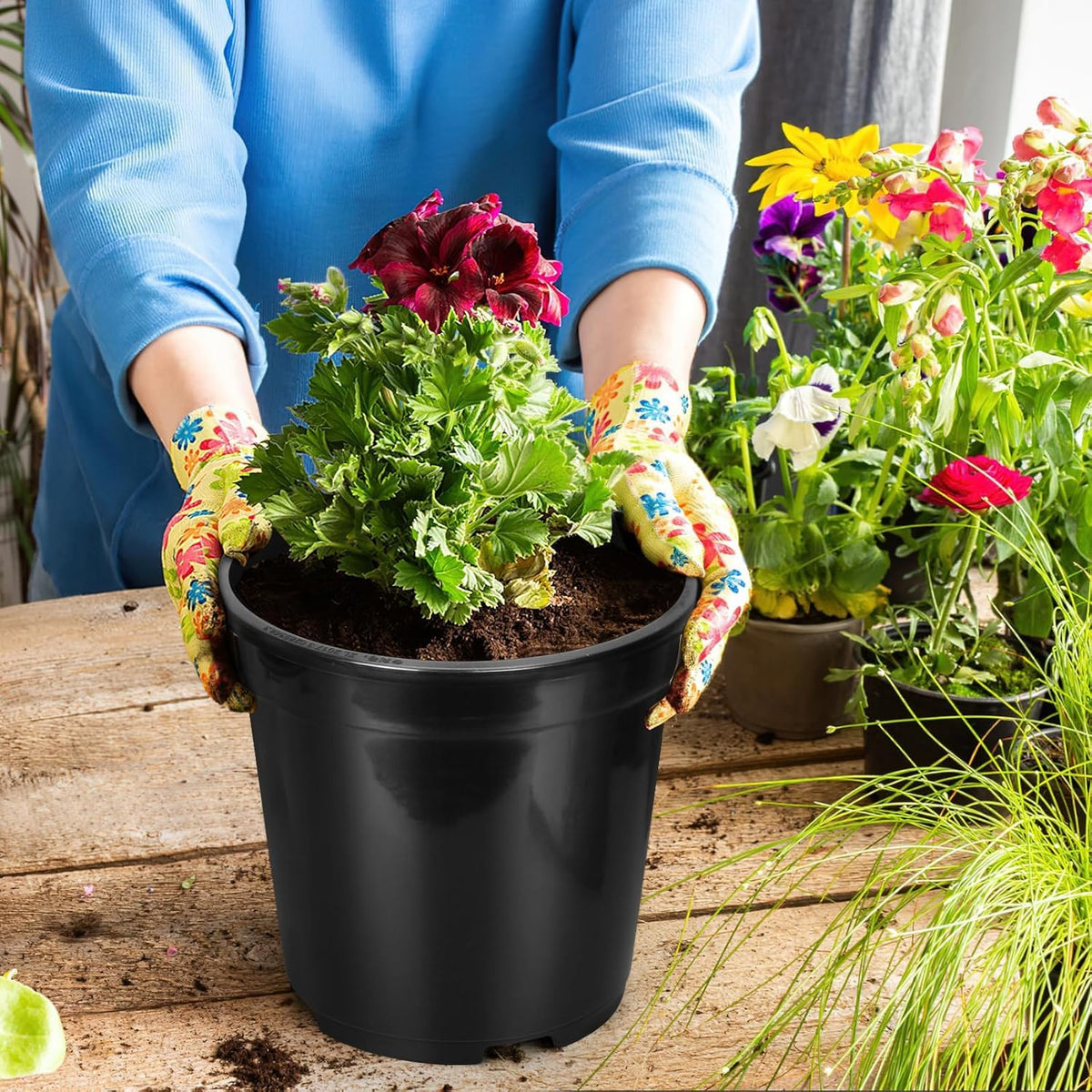 OUPSAUI 7-gallon pots in use with seedlings ready for transplant