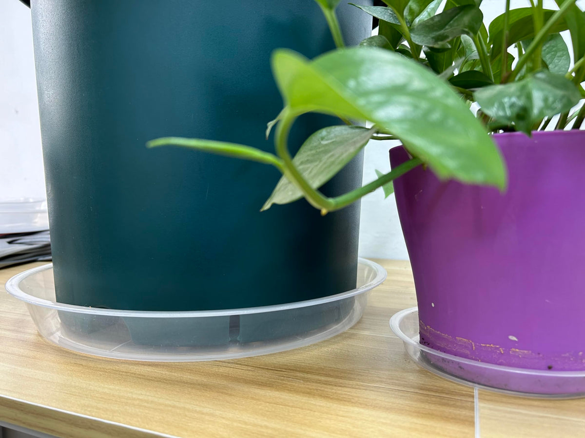 OUPSAUI 14-inch saucer suitable for a range of pot sizes and setups.