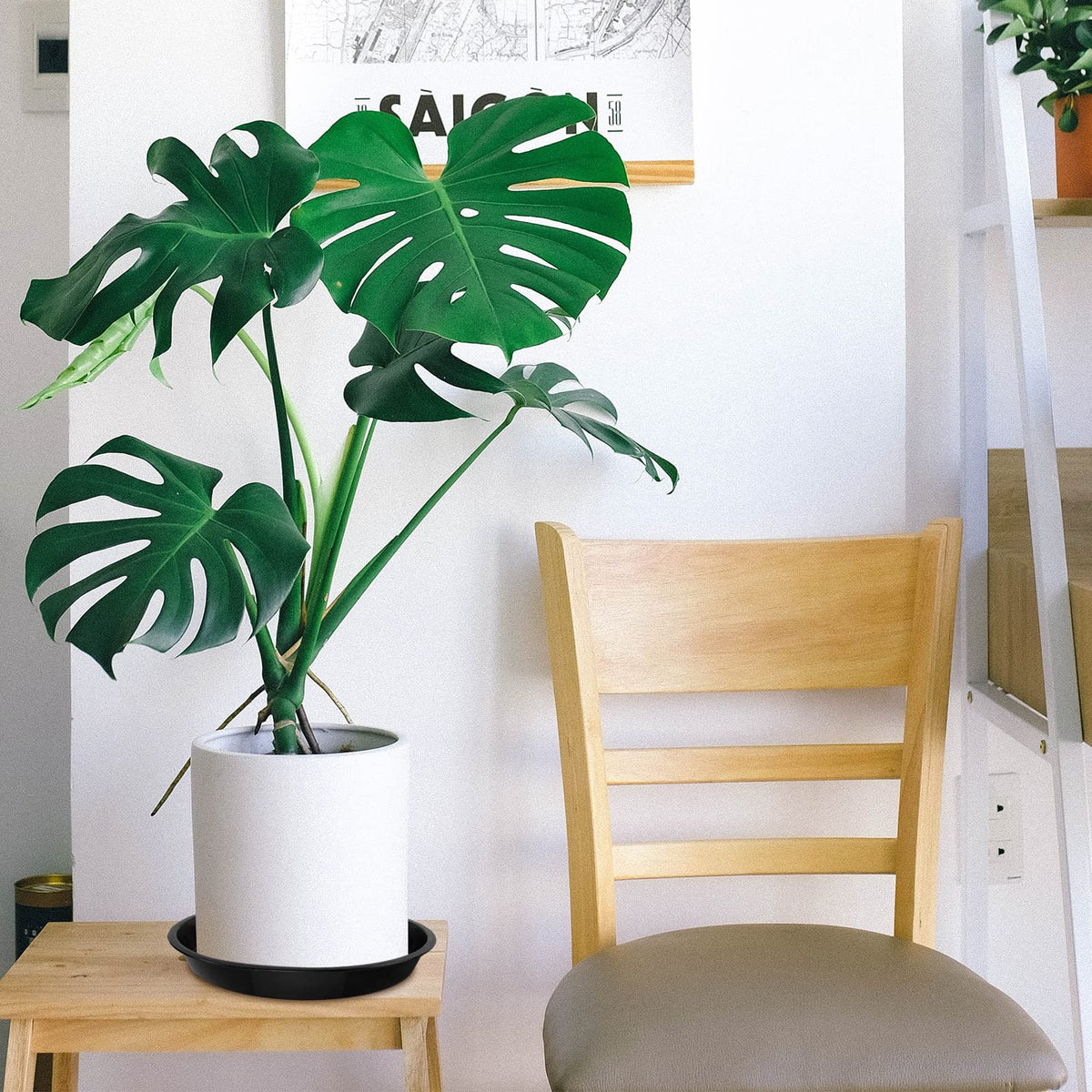 Oupsaui indoor-outdoor compatible tray supports versatile placement near pots.
