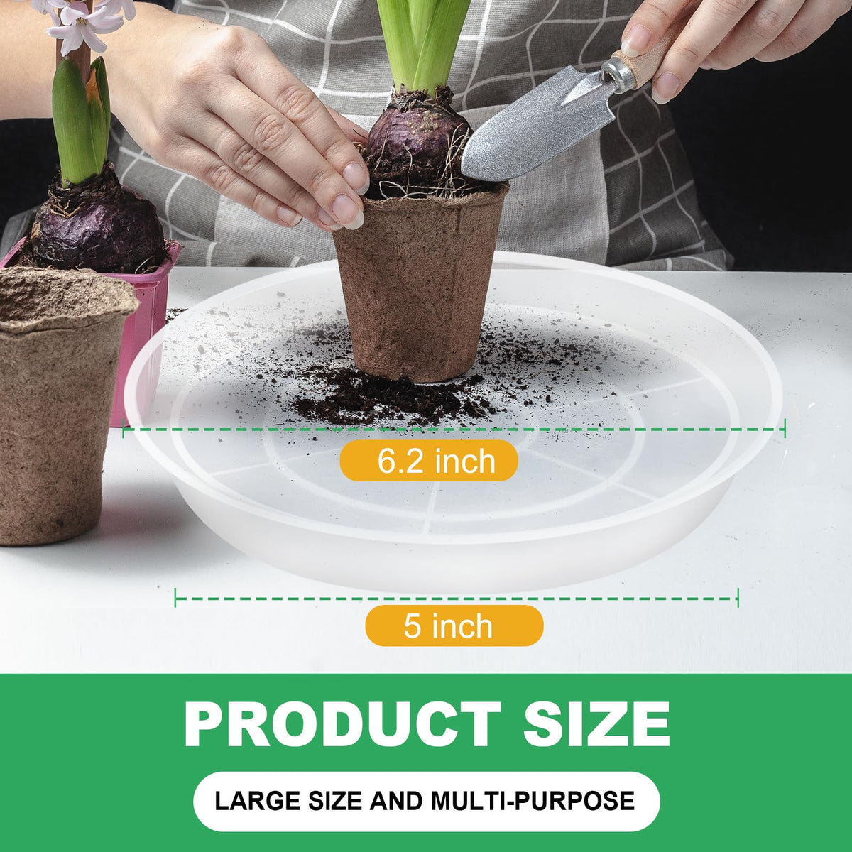 OUPSAUI clear 6-inch saucer highlighting strong grip and efficient water collection.
