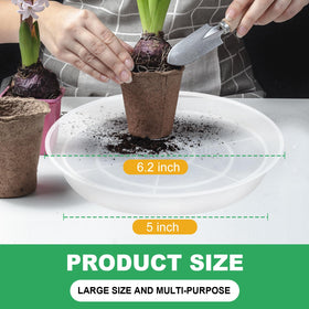 OUPSAUI clear 6-inch saucer highlighting strong grip and efficient water collection.
