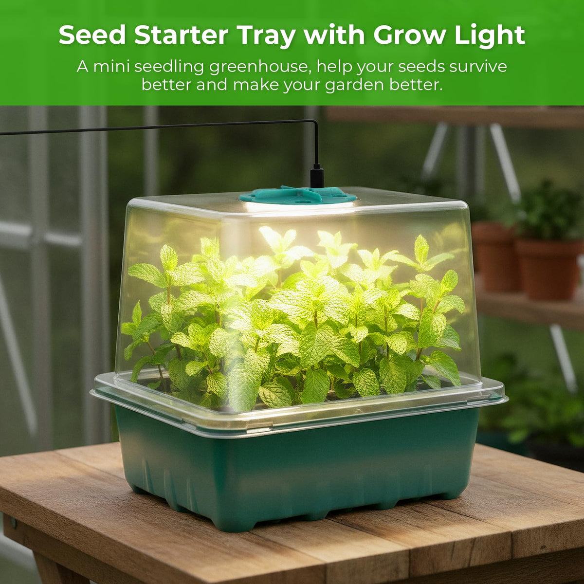 Ourhom indoor seed-start kit supports sowing to harvest steps.