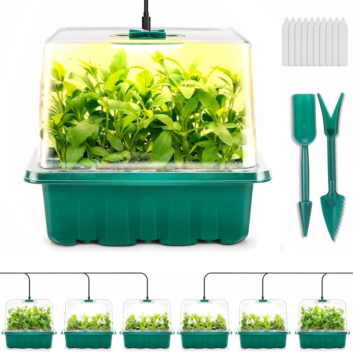 Ourhom seed starter tray with grow light supports indoor germination.