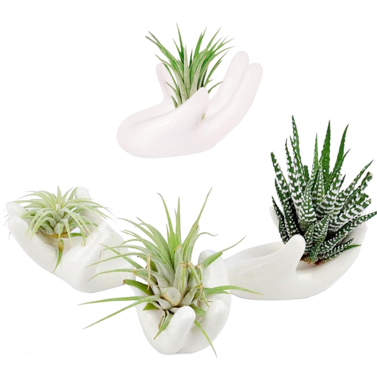 Ourhommie 4-pack air plant holders in white ceramic for desk and shelf decor
