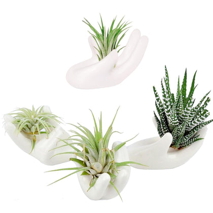 Ourhommie 4-pack air plant holders in white ceramic for desk and shelf decor