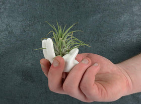 Ourhommie compact ceramic decor pot suitable for succulents and cacti