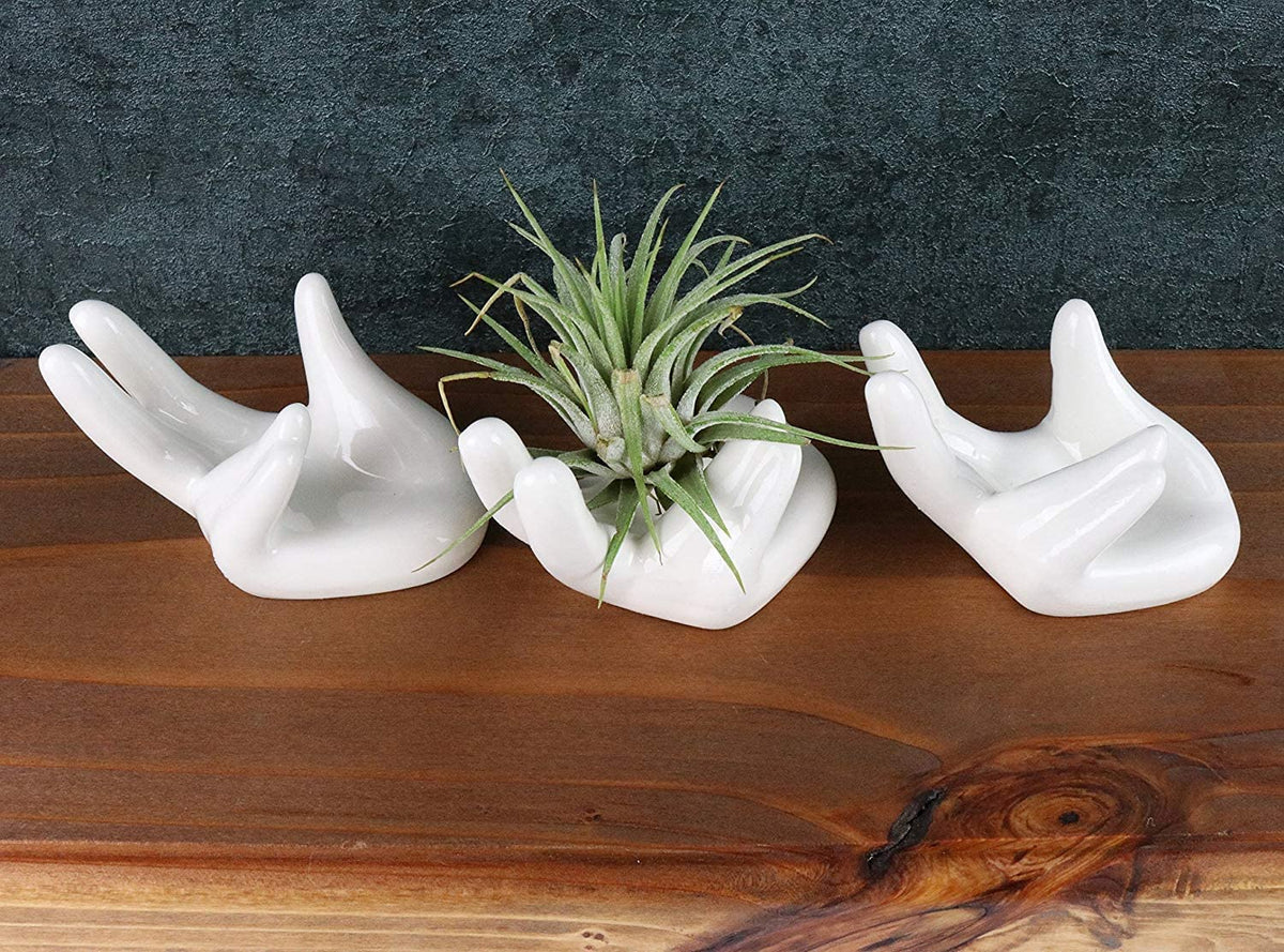 Ourhommie hand-shaped ceramic plant holder for modern spaces