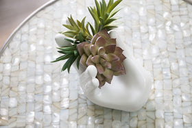 Ourhommie minimalist air plant holder fits compact desks and shelves