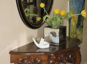 Ourhommie Tillandsia mini pot stand in white for easy display