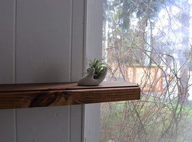 Ourhommie white ceramic air plant holder ideal for micro garden setups